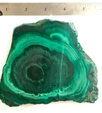 Congo Malachite lapidary slab 15.8 oz (455 grams) - radiantrocksct