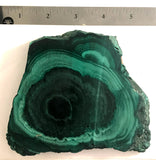 Congo Malachite lapidary slab 15.8 oz (455 grams) - radiantrocksct