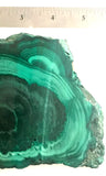 Congo Malachite lapidary slab 15.8 oz (455 grams) - radiantrocksct