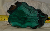 Congo Malachite lapidary slab 16.6oz (471 grams) - radiantrocksct