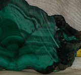 Congo Malachite lapidary slab 16.6oz (471 grams) - radiantrocksct