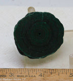 Congo Malachite Stalagmite round slab - Radiant Rocks CT