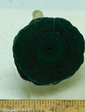 Congo Malachite Stalagmite round slab - Radiant Rocks CT