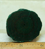 Congo Malachite Stalagmite round slab - Radiant Rocks CT