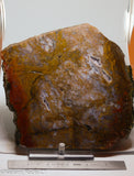 Maury Mountain Moss Agate Lapidary slab  -  Radiant Rocks CT