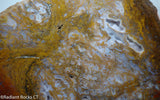 Maury Mountain Moss Agate Lapidary slab  -  Radiant Rocks CT