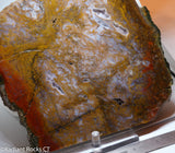 Maury Mountain Moss Agate Lapidary slab  -  Radiant Rocks CT