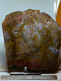 Maury Mountain Moss Agate Lapidary slab  -  Radiant Rocks CT