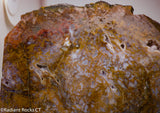 Maury Mountain Moss Agate Lapidary slab  -  Radiant Rocks CT