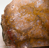 Maury Mountain Moss Agate Lapidary slab  -  Radiant Rocks CT