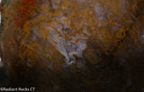 Maury Mountain Moss Agate Lapidary slab  -  Radiant Rocks CT