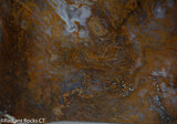 Maury Mountain Moss Agate Lapidary slab  -  Radiant Rocks CT