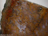 Maury Mountain Moss Agate Lapidary slab  -  Radiant Rocks CT