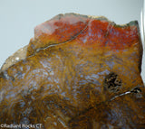 Maury Mountain Moss Agate Lapidary slab  -  Radiant Rocks CT