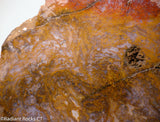 Maury Mountain Moss Agate Lapidary slab  -  Radiant Rocks CT