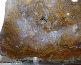 Maury Mountain Moss Agate Lapidary slab weighing 11.2 oz (320 grams) .