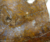 Maury Mountain Moss Agate Lapidary slab weighing 11.2 oz (320 grams) .