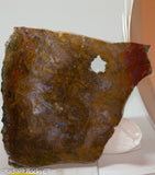 Maury Mountain Moss Agate Lapidary slab weighing 11.2 oz (320 grams) .