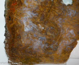 Maury Mountain Moss Agate Lapidary slab weighing 11.2 oz (320 grams) .