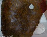 Maury Mountain Moss Agate Lapidary slab weighing 11.2 oz (320 grams) .