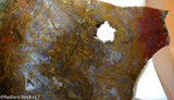 Maury Mountain Moss Agate Lapidary slab weighing 11.2 oz (320 grams) .