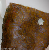 Maury Mountain Moss Agate Lapidary slab weighing 11.2 oz (320 grams) .