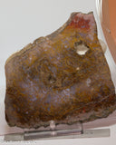 Maury Mountain Moss Agate Lapidary slab weighing 11.2 oz (320 grams) .