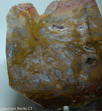 Maury Mountain Moss Agate Lapidary slab  -  Radiant Rocks CT