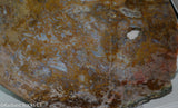 Maury Mountain Moss Agate Lapidary slab  -  Radiant Rocks CT