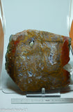 Maury Mountain Moss Agate Lapidary slab  -  Radiant Rocks CT