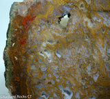 Maury Mountain Moss Agate Lapidary slab  -  Radiant Rocks CT