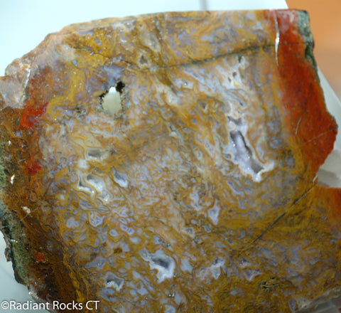 Maury Mountain Moss Agate Lapidary slab  -  Radiant Rocks CT