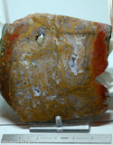 Maury Mountain Moss Agate Lapidary slab  -  Radiant Rocks CT