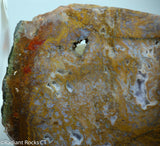 Maury Mountain Moss Agate Lapidary slab  -  Radiant Rocks CT