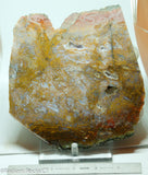Maury Mountain Moss Agate Lapidary slab  -  Radiant Rocks CT