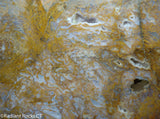 Maury Mountain Moss Agate Lapidary slab  -  Radiant Rocks CT