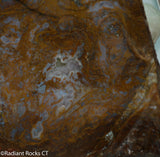 Maury Mountain Moss Agate Lapidary slab  -  Radiant Rocks CT