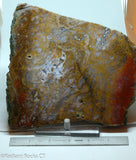 Maury Mountain Moss Agate Lapidary slab  -  Radiant Rocks CT