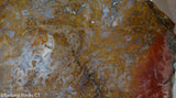 Maury Mountain Moss Agate Lapidary slab  -  Radiant Rocks CT