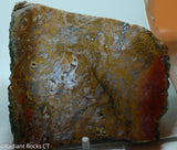 Maury Mountain Moss Agate Lapidary slab  -  Radiant Rocks CT