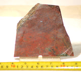 Oregon Maury Mountain Moss Agate Slab 7.6 oz (215 grams) - radiantrocksct