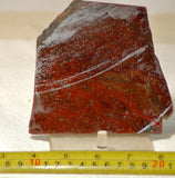 Maury Mountain Moss Agate Slab 6.8 oz (190 grams) - radiantrocksct
