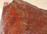 Maury Mountain Moss Agate Slab 6.8 oz (190 grams) - radiantrocksct