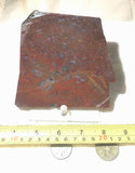 Oregon Maury Mountain Moss Agate Slab 8.2 oz (225 grams) - radiantrocksct