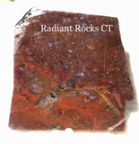 Oregon Maury Mountain Moss Agate Slab 8.2 oz (225 grams) - radiantrocksct