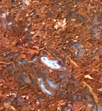 Oregon Maury Mountain Moss Agate Slab 8.2 oz (225 grams) - radiantrocksct