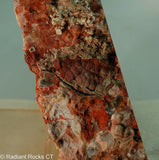 Red Crazy Lace agate Lapidary faced rough  - Radiant Rocks CT