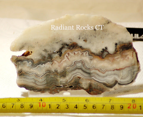 Crazy Lace Agate Lapidary Slab 7.6 oz (215 grams) - radiantrocksct