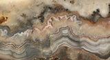 Crazy Lace Agate Lapidary Slab 7.6 oz (215 grams) - radiantrocksct