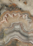 Crazy Lace Agate Lapidary Slab 7.6 oz (215 grams) - radiantrocksct